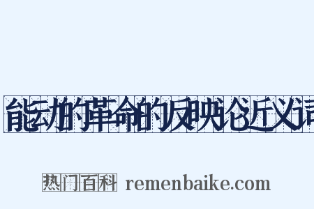 能动的革命的反映论近义词是什么意思的图片